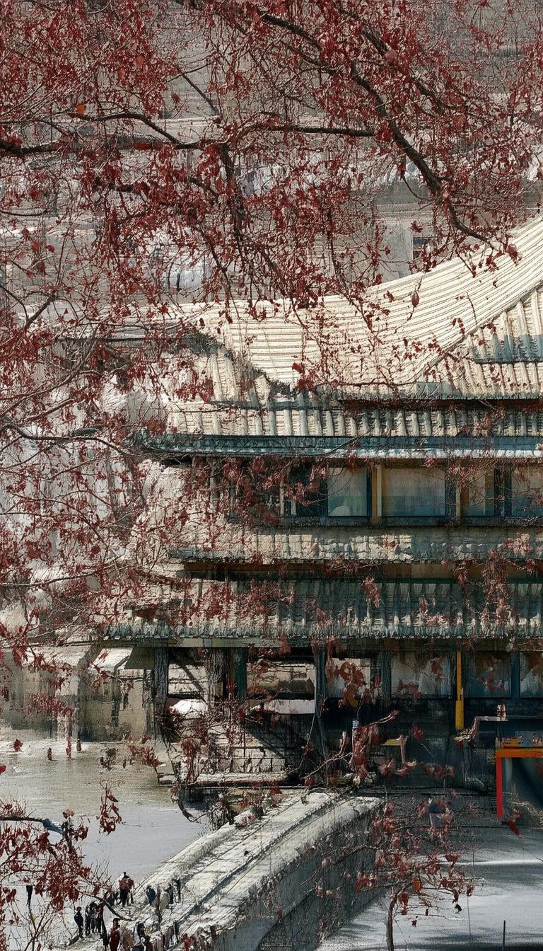 抖音马哥涨粉最新消息_抖音马哥粉丝突破新高峰?插图 抖音马哥涨粉最新消息_抖音马哥粉丝突破新高峰?插图